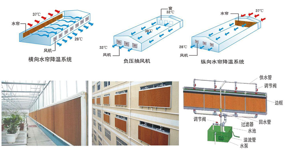 1757381298188338.jpg 3.jpg